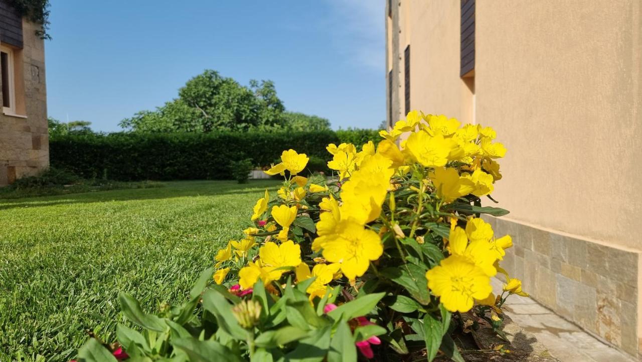 Apartments Sozopoli Hills Екстер'єр фото